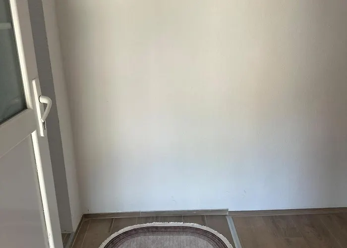 Daire Daily Corner *