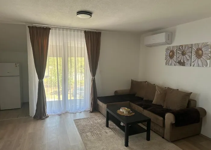 Daire Daily Corner *