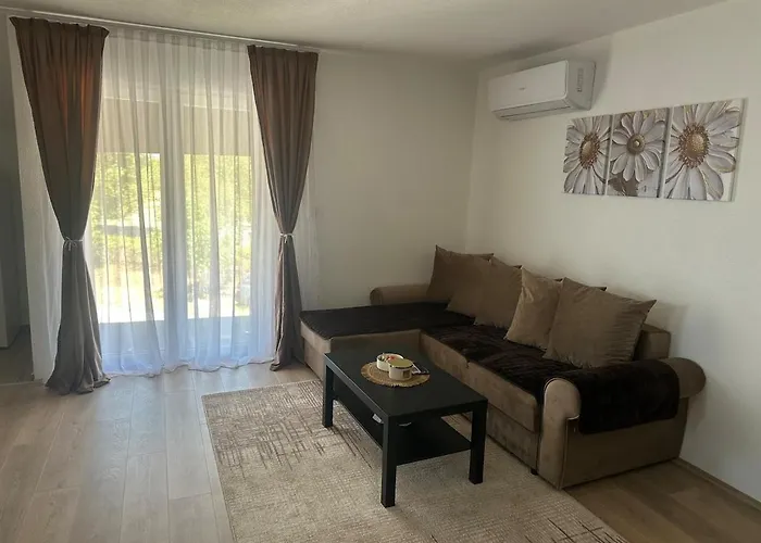 Daire Daily Corner *